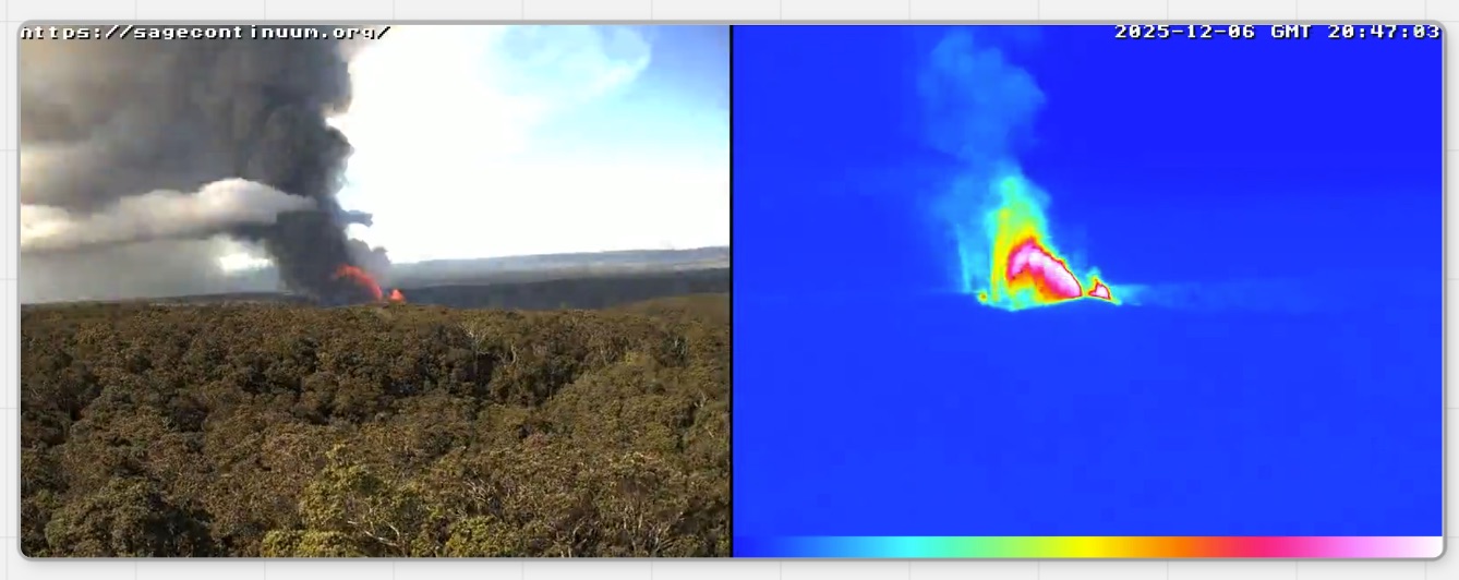 VideoViewer